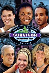 Survivor - Posters