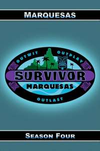 Survivor - Posters