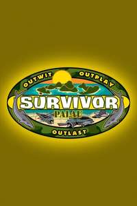Survivor - Posters