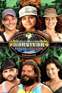 Survivor - Posters