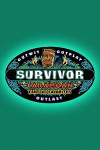 Survivor - Posters