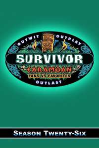 Survivor - Posters