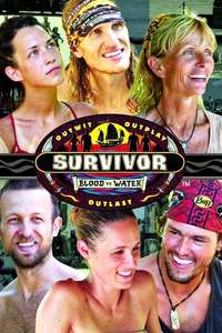 Survivor - Posters