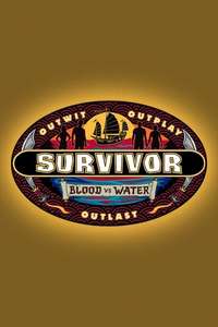 Survivor - Posters