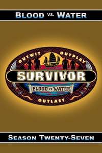 Survivor - Posters
