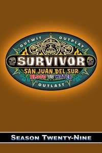 Survivor - Posters