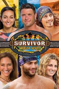 Survivor - Posters
