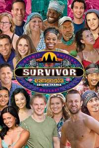 Survivor - Posters
