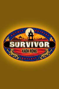 Survivor - Posters