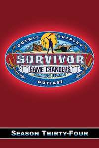 Survivor - Posters