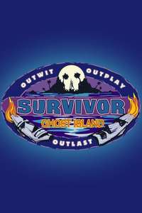 Survivor - Posters