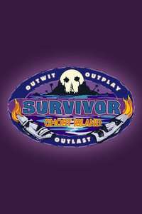 Survivor - Posters
