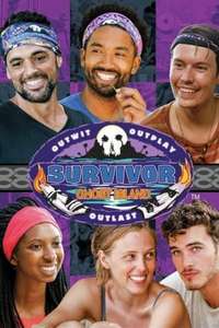 Survivor - Posters