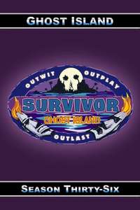 Survivor - Posters