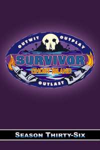 Survivor - Posters