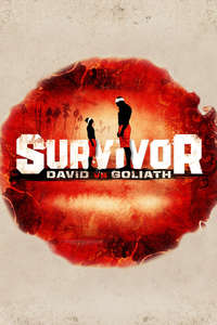 Survivor - Posters