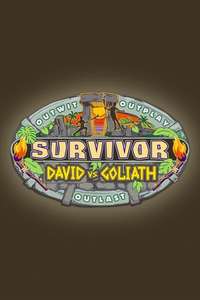 Survivor - Posters