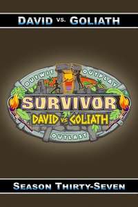 Survivor - Posters