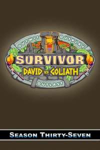 Survivor - Posters
