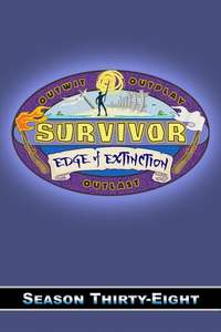 Survivor - Posters