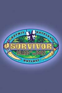 Survivor - Posters