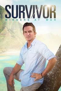 Survivor - Posters