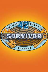 Survivor - Posters