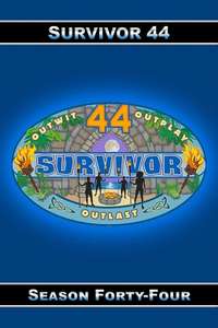 Survivor - Posters