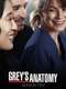 Grey's Anatomy : Season 10