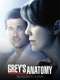 Grey's Anatomy : Season 11