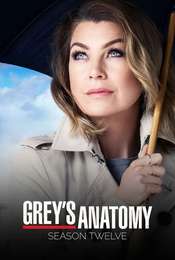 Season 1 Season 12