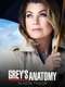 Grey's Anatomy : Season 12