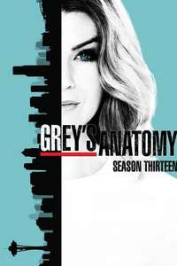 Season 13 - Posters