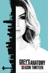 Season 13 - Posters