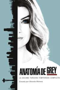 Season 13 - Posters