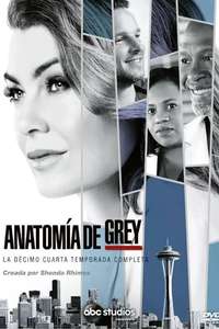 Season 14 - Posters