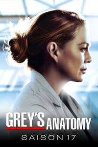 Season 17 - Posters
