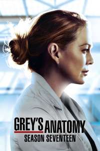 Season 17 - Posters