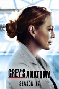 Season 17 - Posters
