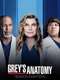 Grey's Anatomy : Season 18