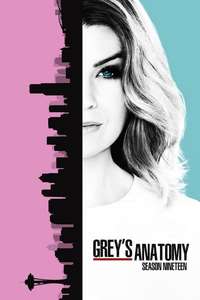 Season 19 - Posters