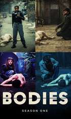 Bodies