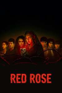 Red Rose - Posters