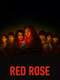Red Rose