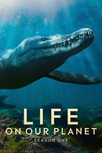 Life on Our Planet - Posters