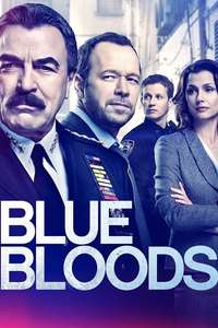 Blue Bloods - Posters
