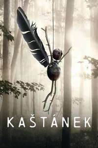 The Chestnut Man - Posters