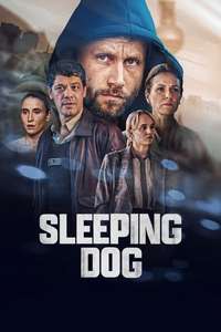 Sleeping Dog - Posters