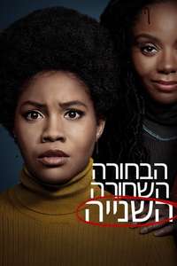 The Other Black Girl - Posters