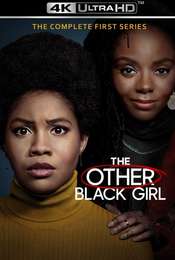 The Other Black Girl Season 1